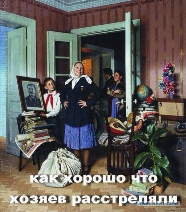 ���������� #2318942
