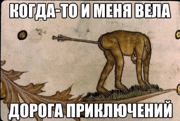 ���������� #2310944