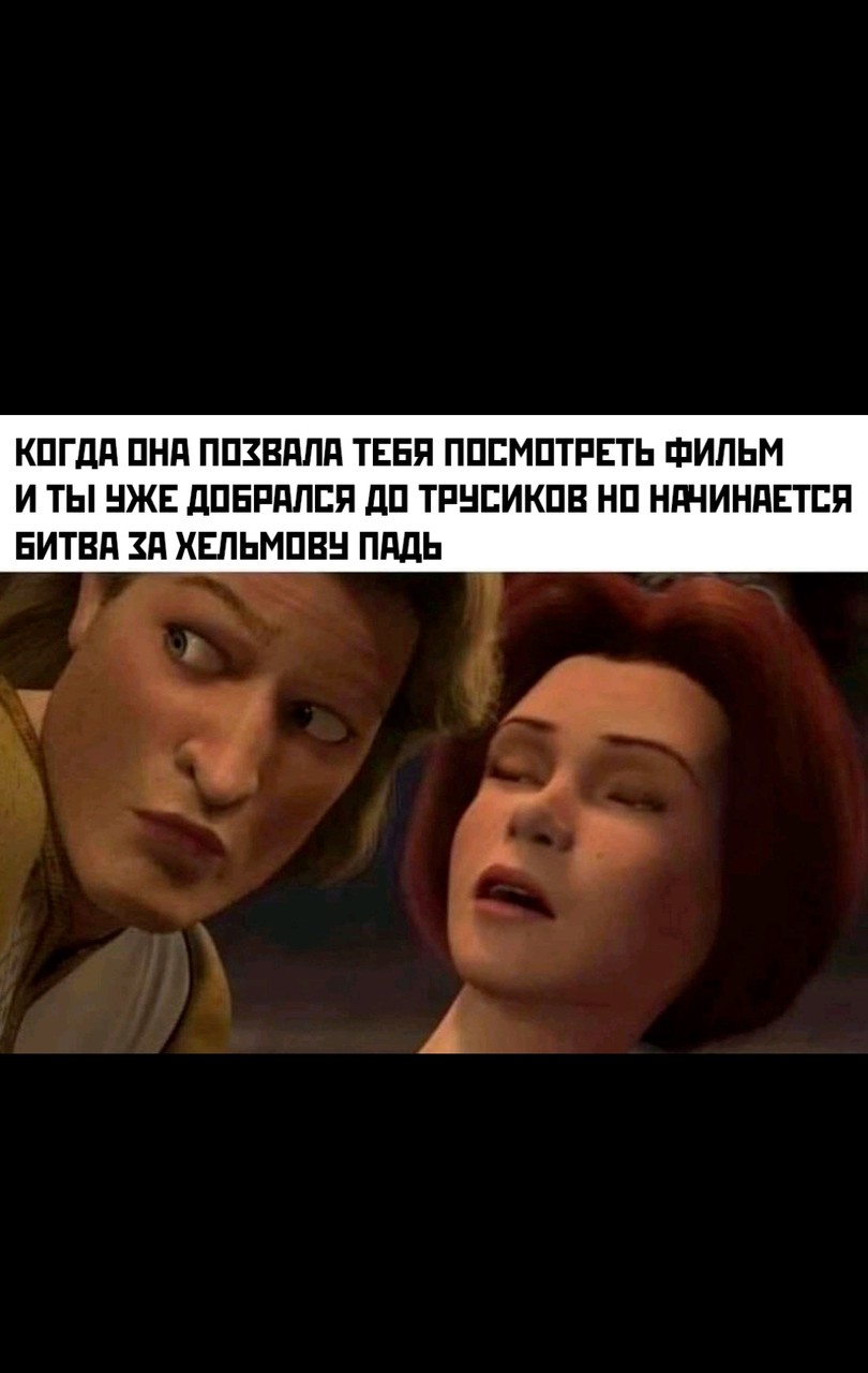 ���������� #2319053