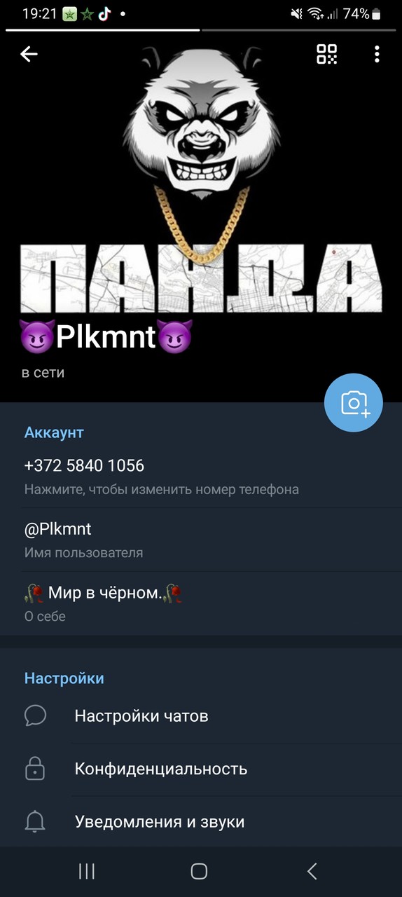 ���������� #2319206