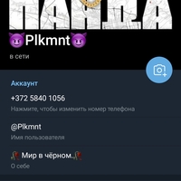 ���������� #2319206