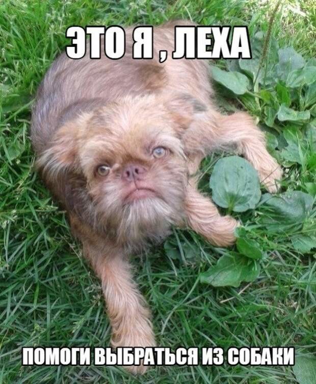 ���������� #2319288