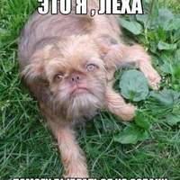 ���������� #2319288