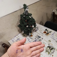 ����