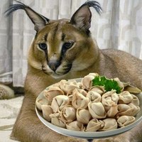 ���������� #2319551