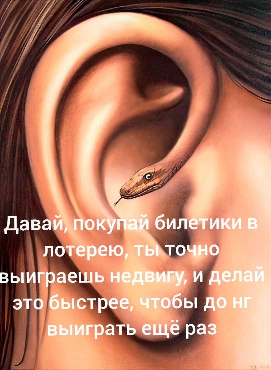 ���������� #2319566