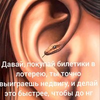 ���������� #2319566