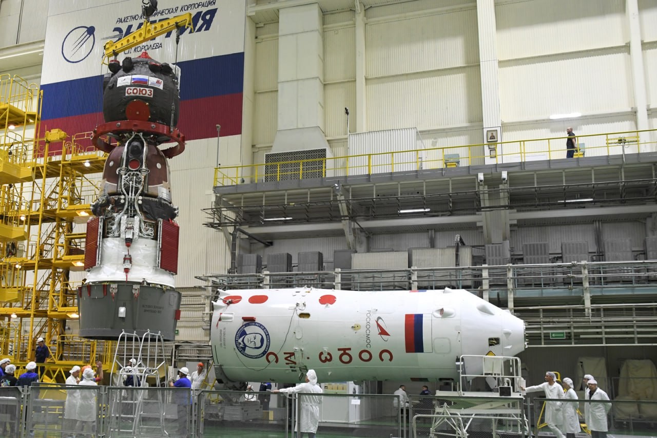 ���������� #2319623