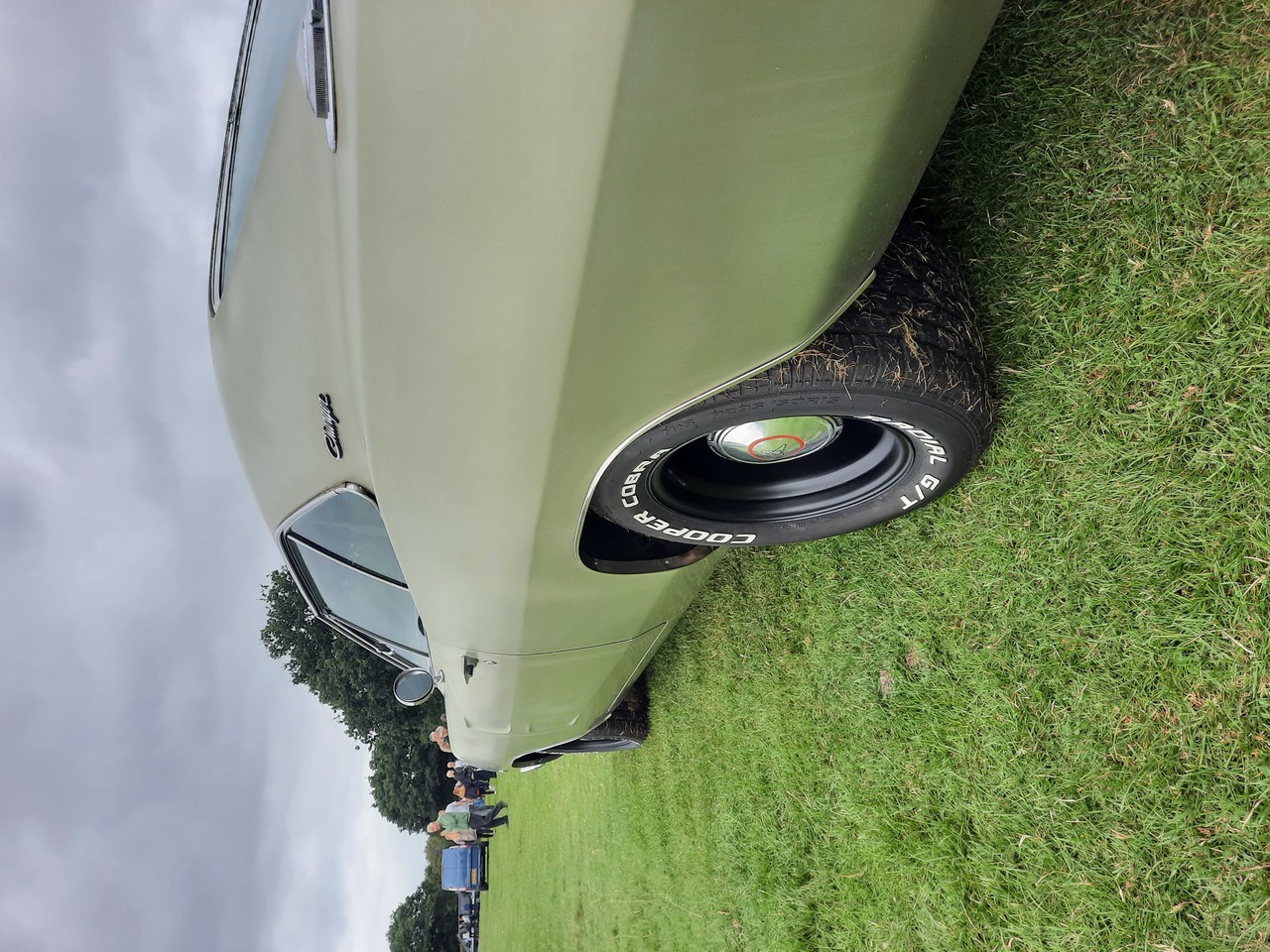 ���������� #2319824