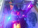 ���������� #2319932