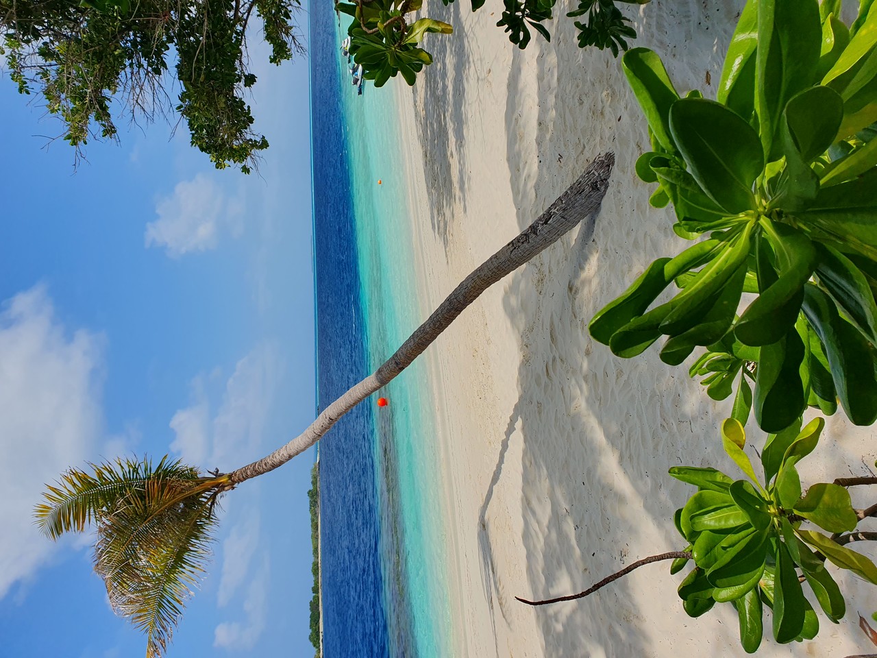 Maldives 24