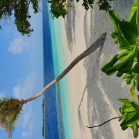 Maldives 24