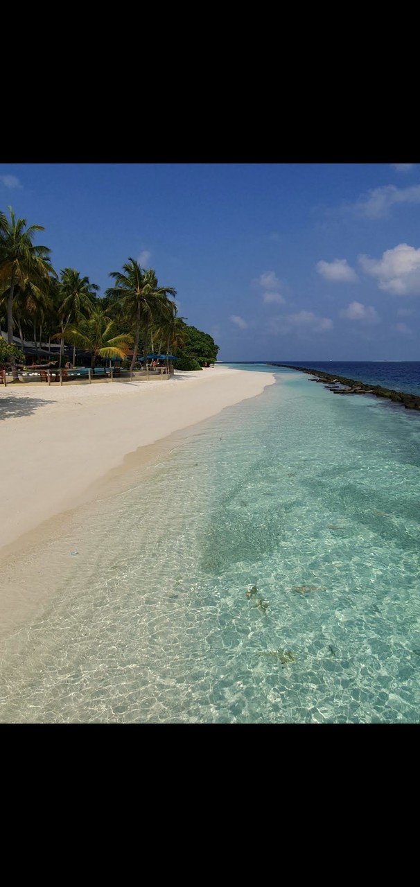 Maldives 24