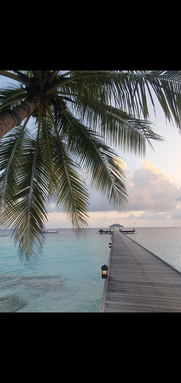 Royal Island 24