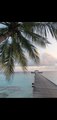 Royal Island 24
