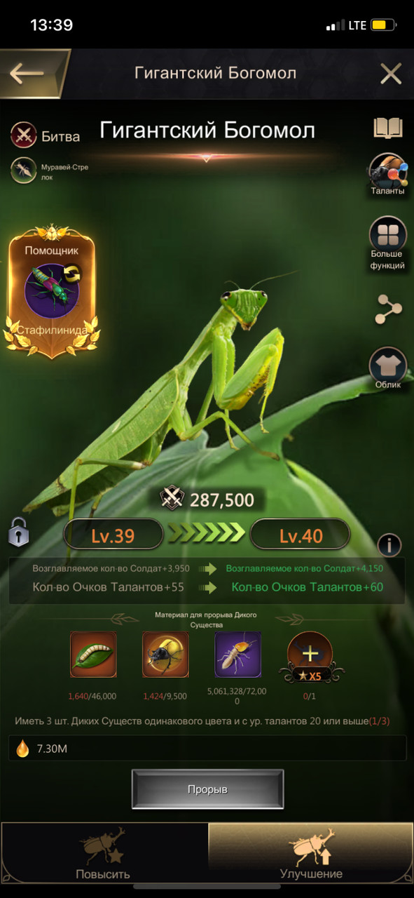 ��� ���� �� 40 ��. ������ :))