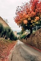 Italy/Firenze