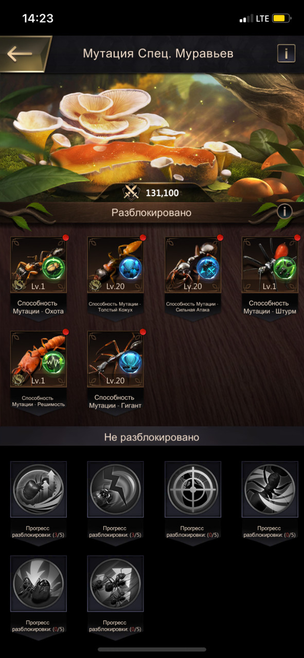 3 �� �� 20 ��.