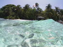 Maldives 24