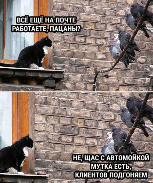 ���������� #2322543