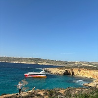 ���������� #2322597