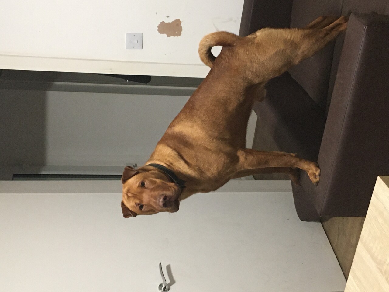 ���������� #2322632