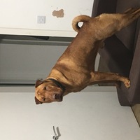 ���������� #2322632