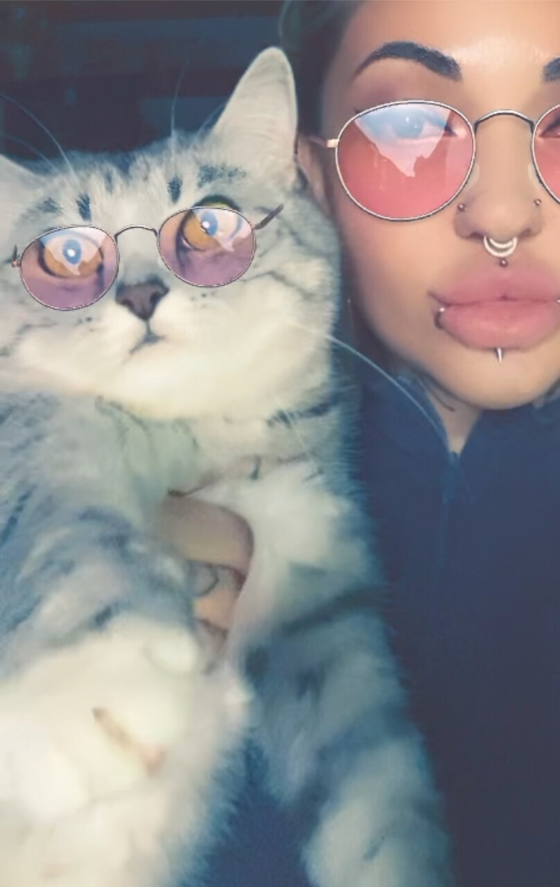 ���������� #2322987