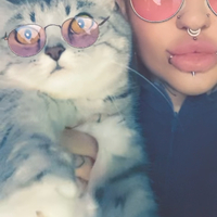 ���������� #2322987