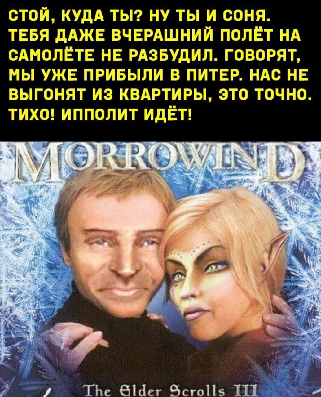 ���������� #2320300