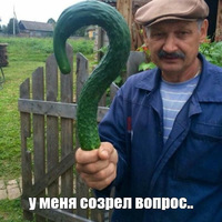 ���������� #2320309
