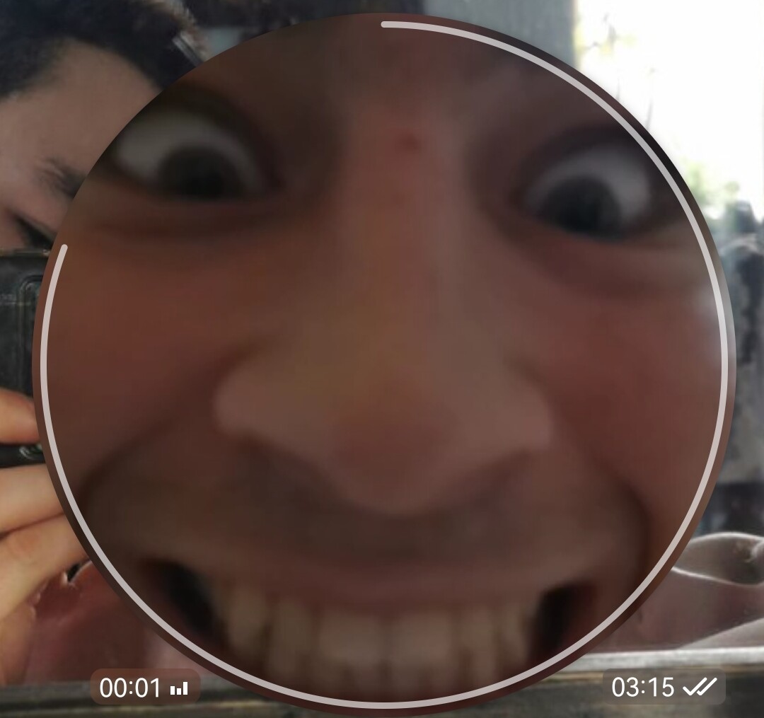 ���������� #2323006