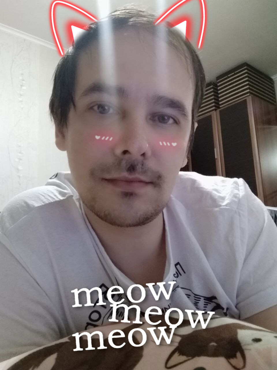 ���������� #2323087