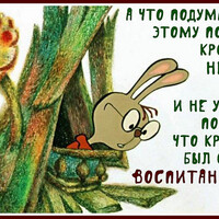 ���������� #2323165