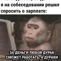 ���������� #2323365