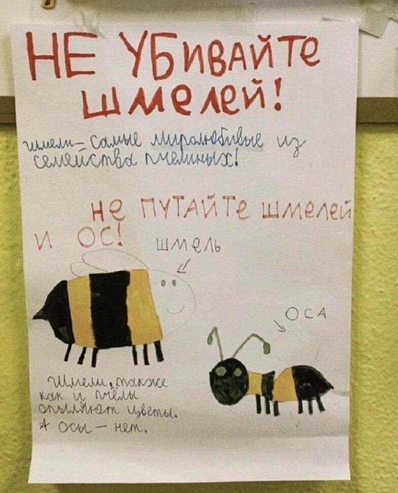 ���������� #2324127