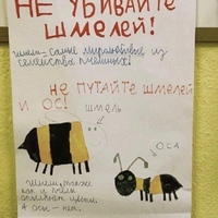 ���������� #2324127