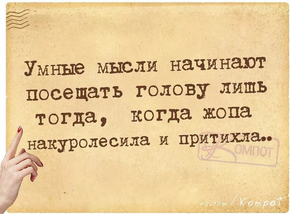 ���������� #2324549