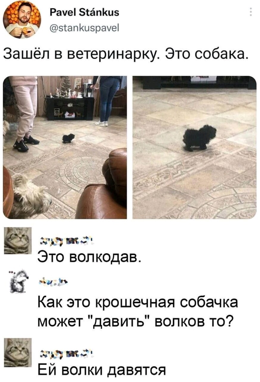 ���������� #2324560