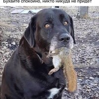 ��� ���