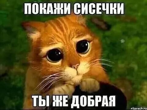 ���������� #2324720