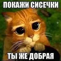���������� #2324720