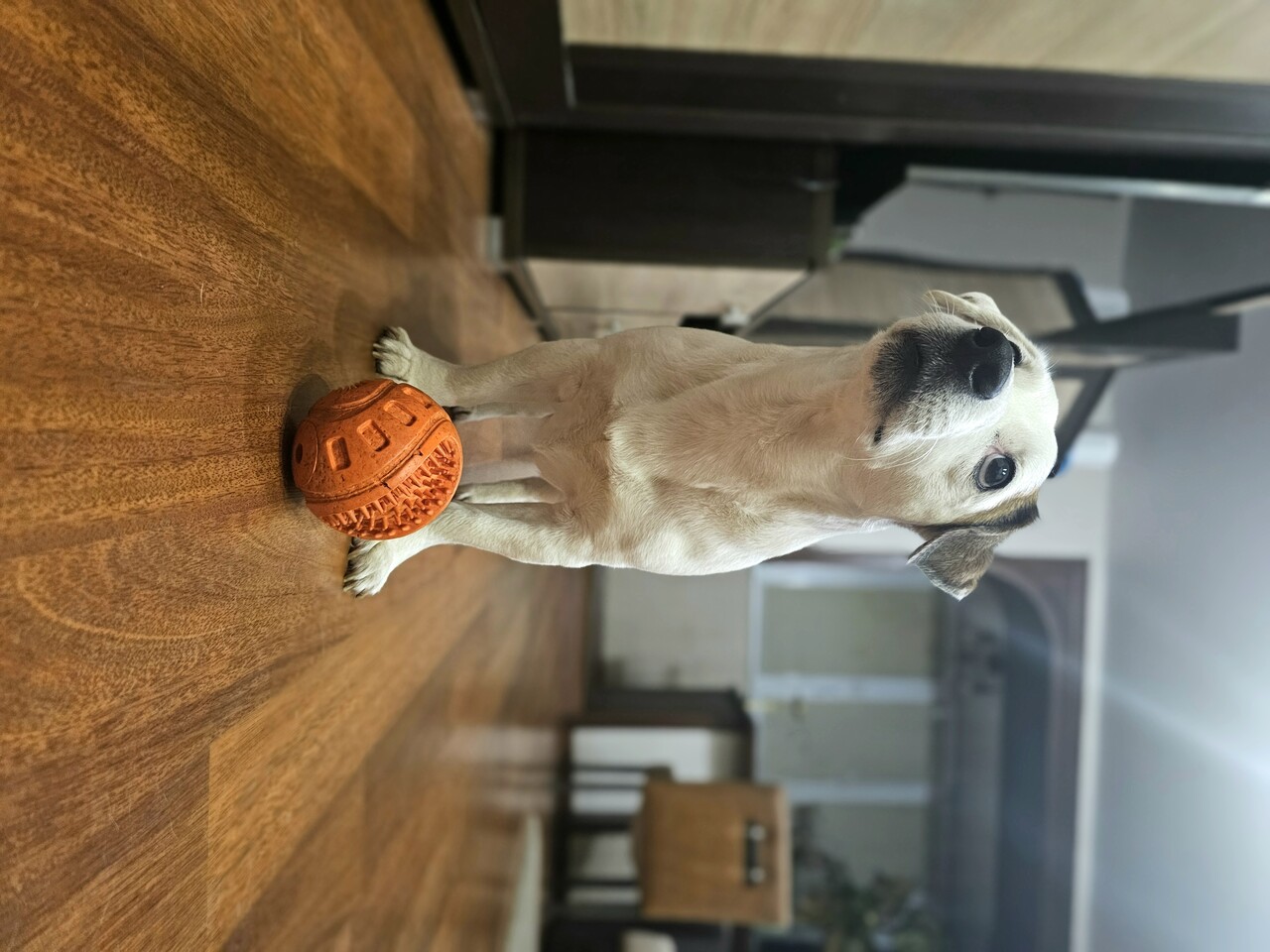 ���������� #2324784