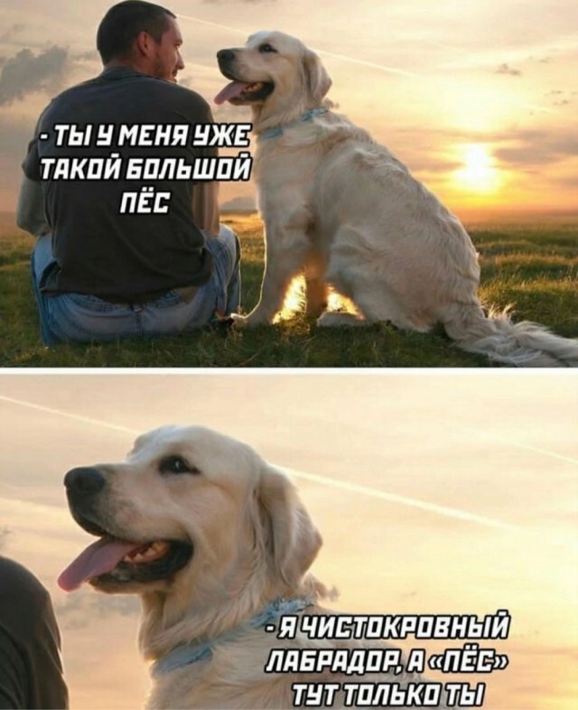 ���������� #2324798