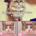 ���������� #2324799