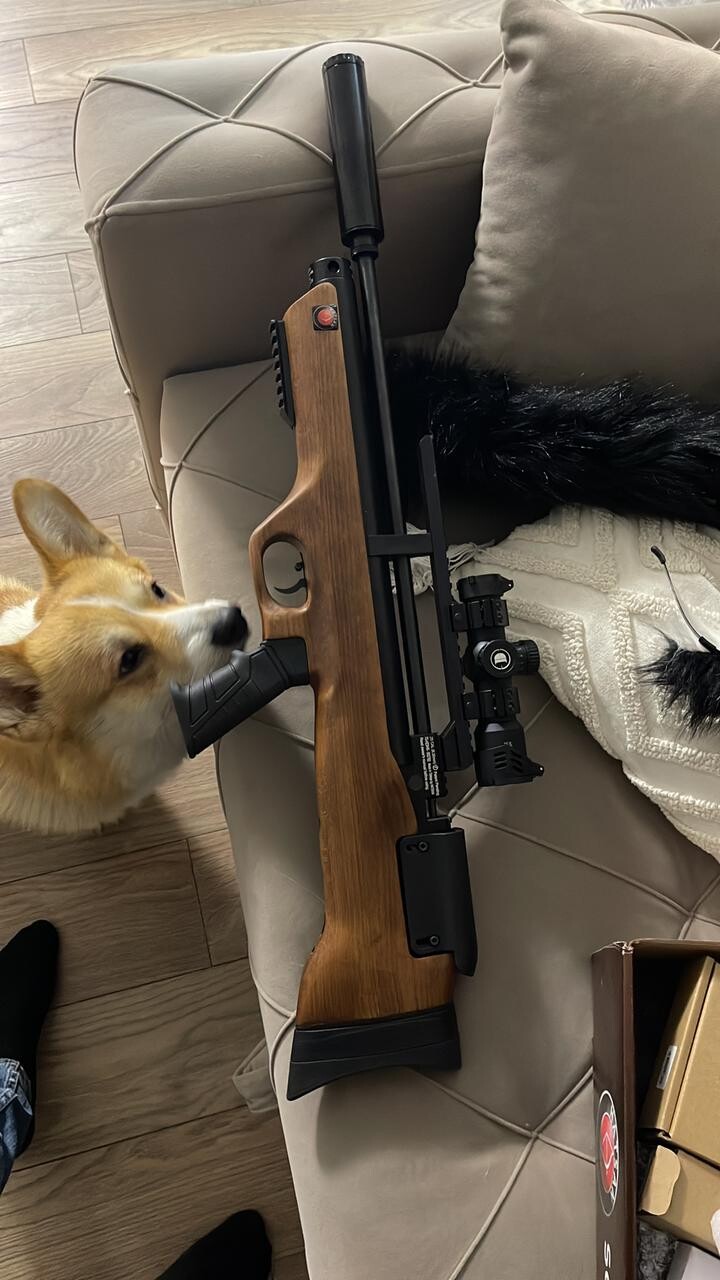 ���������� #2324833