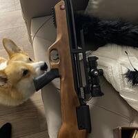 ���������� #2324833