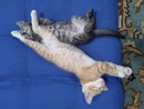 Afterparty :)