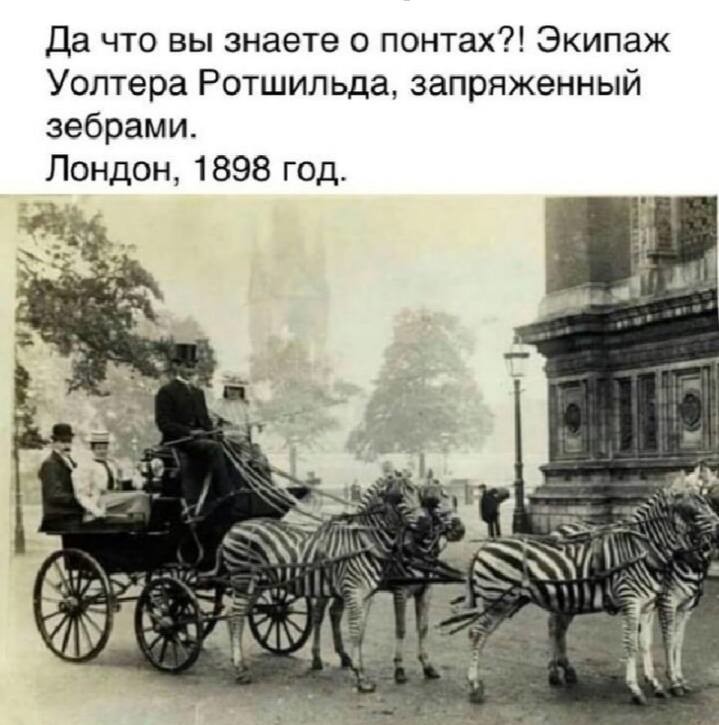 ���������� #2320524