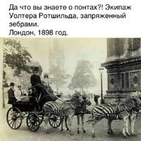 ���������� #2320524